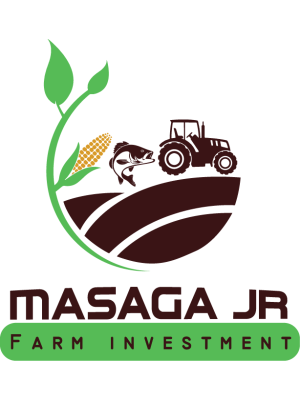 Helbert Masaga, Masagajr Farm Investments